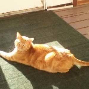 Meet your Posher, Melinda